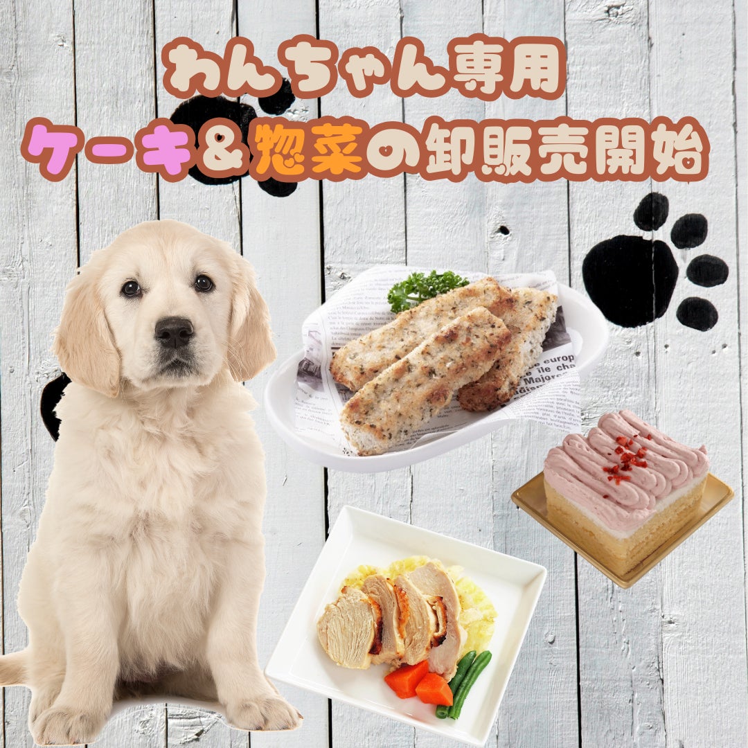 犬専用ケーキ・お惣菜の卸販売開始！犬も喜ぶ、こだわりの商材をお届けします★