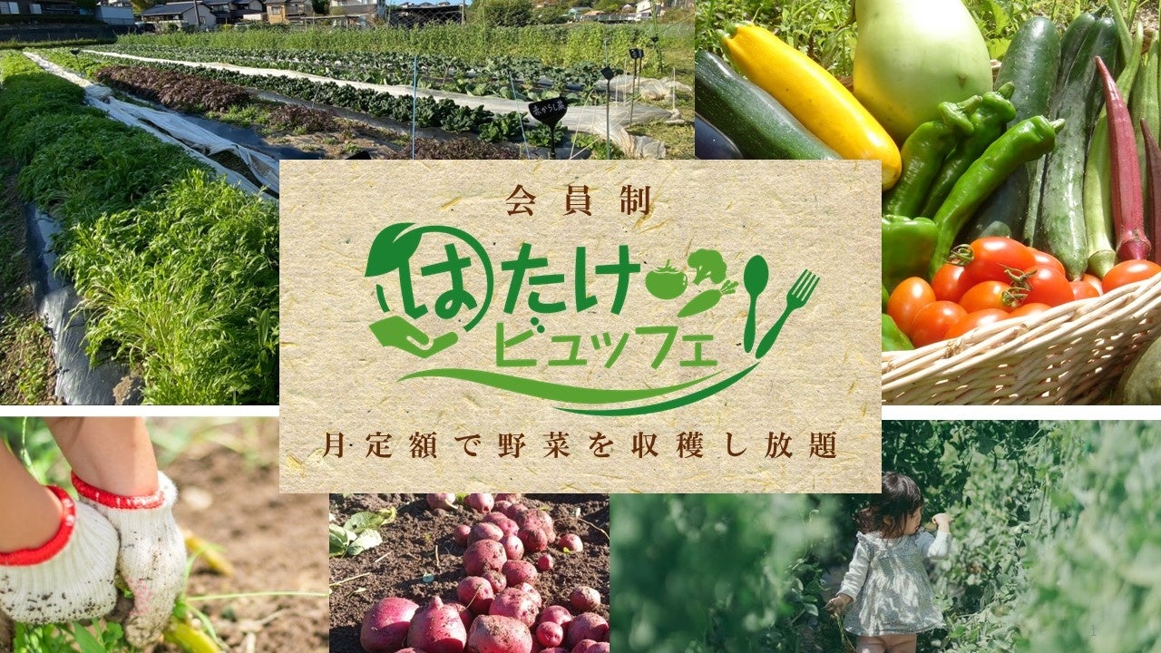 野菜採り放題サービスで農家の労働時間が半分になる「農業✕サブスク」全国6県に拡大＜千葉市・相模原市・日進市・小林市オープン＞