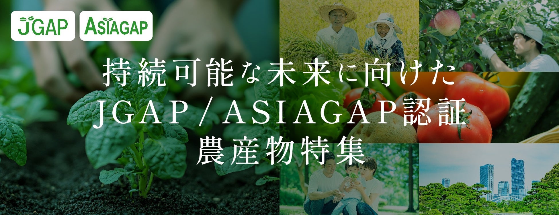 「JALふるさと納税」に持続可能な農業を応援するGAP認証農産物特設ページを公開！