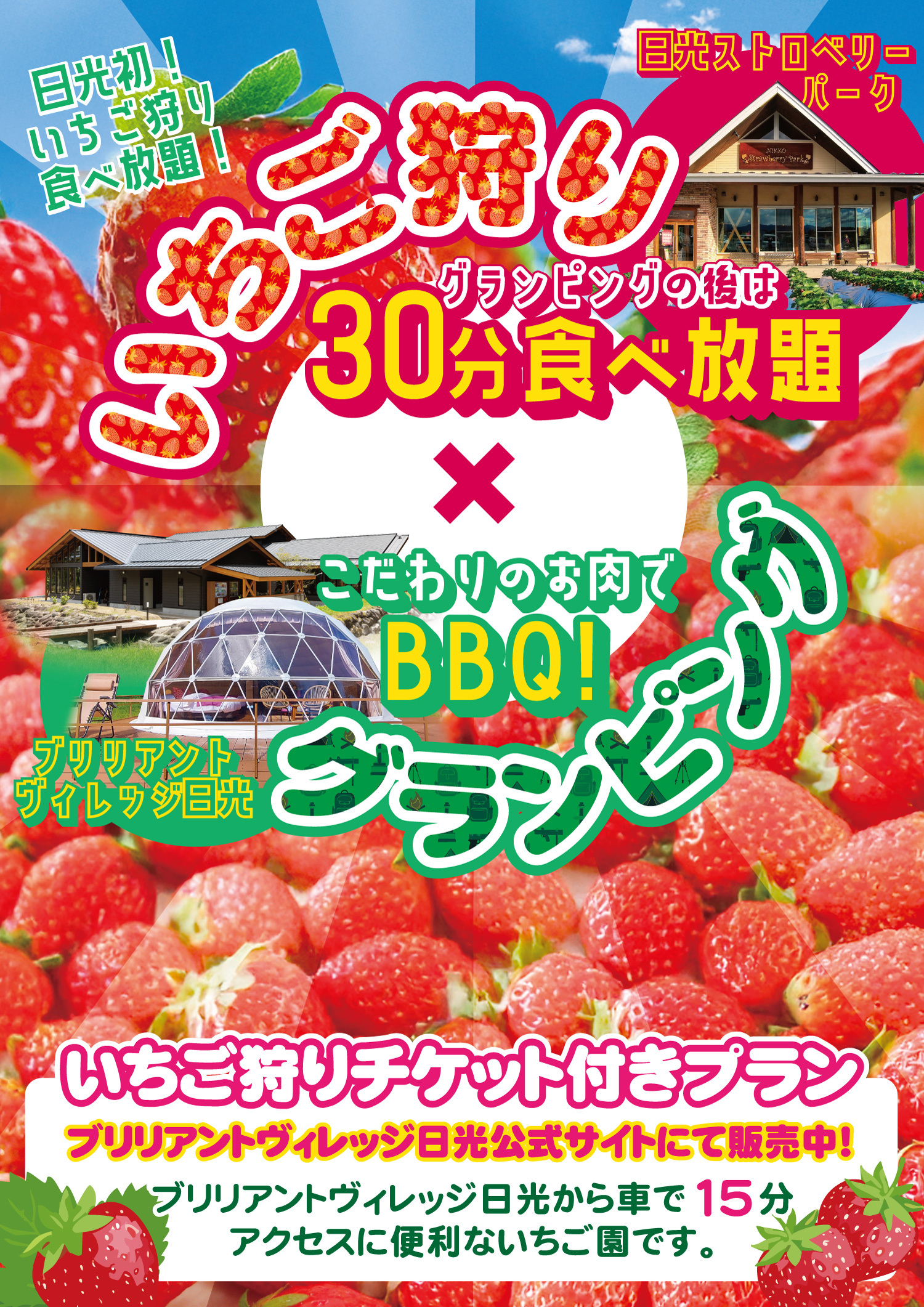 冬の日光でグランピング＆いちご狩りを満喫！
「ブリリアントヴィレッジ日光」で限定プランがスタート！
幻想的なイルミネーションにあわせクリスマスプランも同時発売