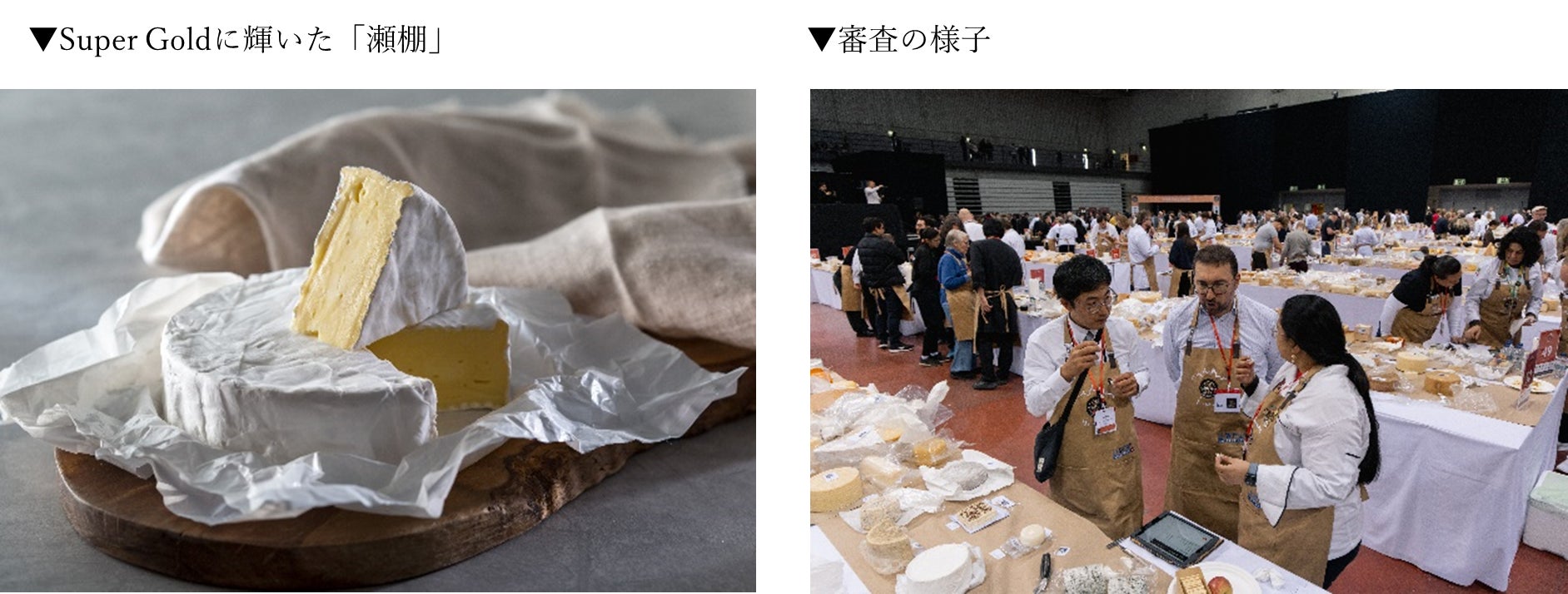 チーズの世界大会「World Cheese Awards 2024」（開催地：ポルトガル）でCHEESEDOM「瀬棚」（北海道）世界の4,786品のチーズの中からSuper Gold賞に選出！