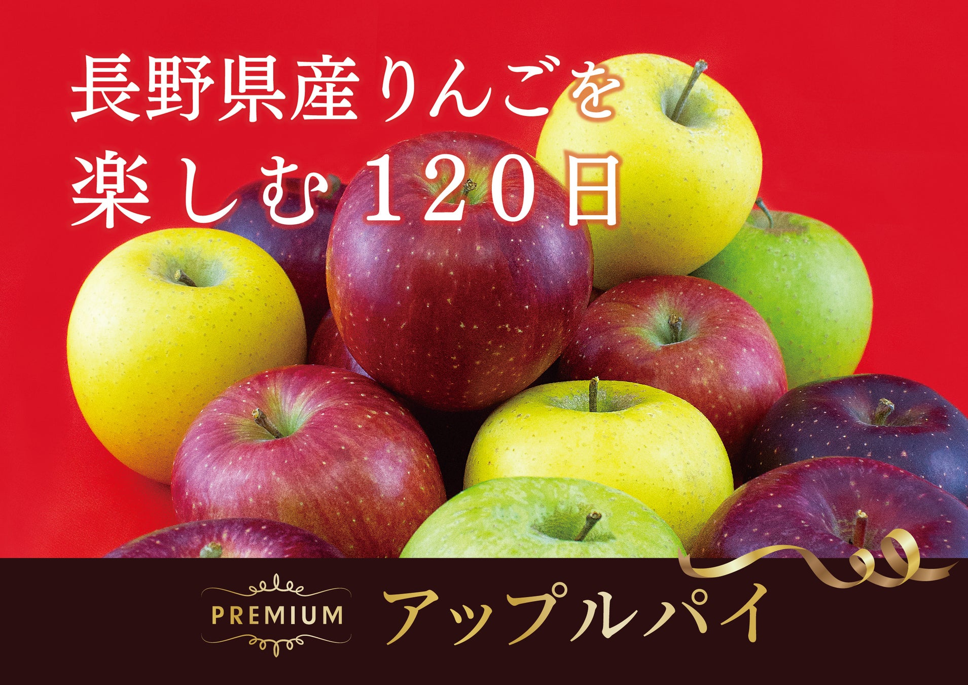 「サッポロ生ビール黒ラベル＜缶＞」早くも年間売上数量の前年超えを達成！