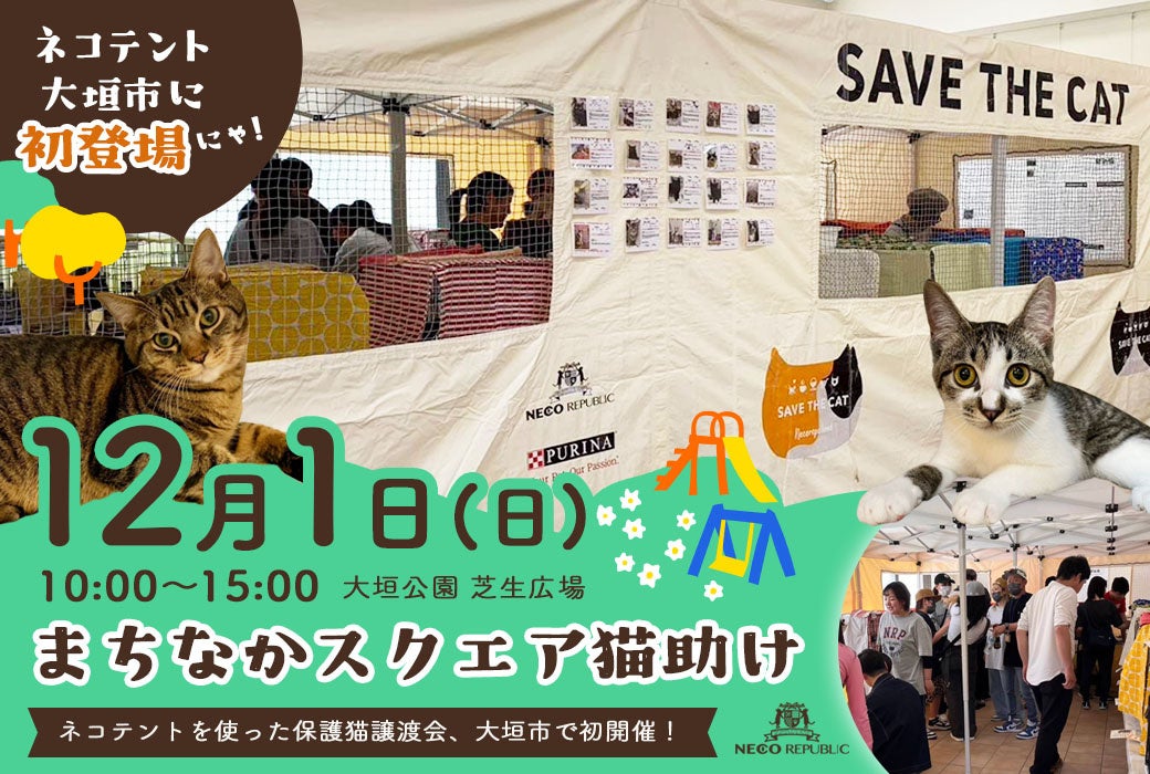 大垣公園が、ネコ、ネコ、ネコまみれ！？岐阜県大垣市の大垣公園芝生広場にて「まちなかスクエア猫助け」イベント開催決定！