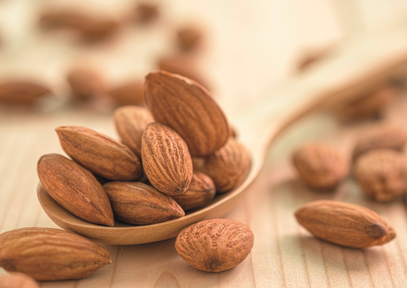 埼玉：アリオ上尾で期間限定開催！！ ▶︎殻付き牡蠣がなんと約１kg660円！！ 炭火焼き！！出張カキ小屋「牡蠣奉行」