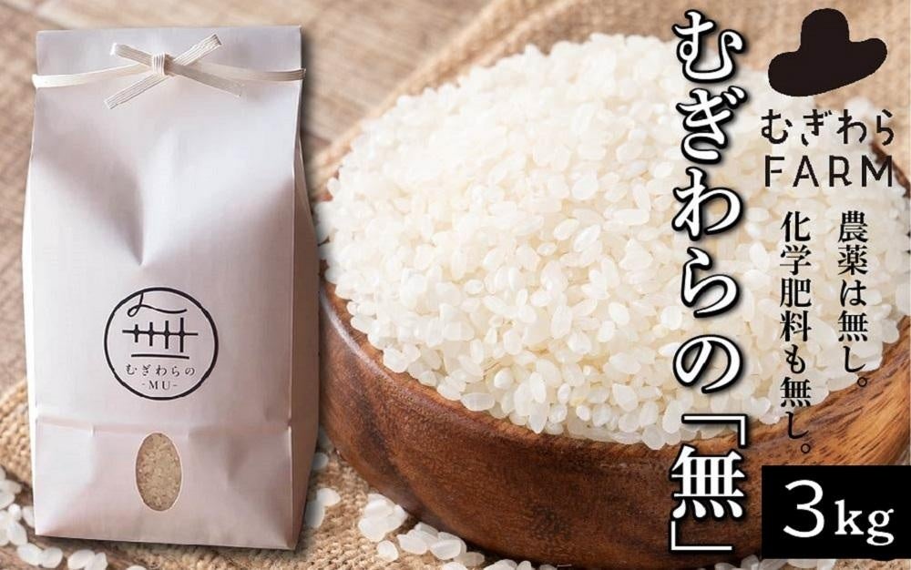 最高峰のコーヒー豆「スペシャルティ」を半額にて販売中！