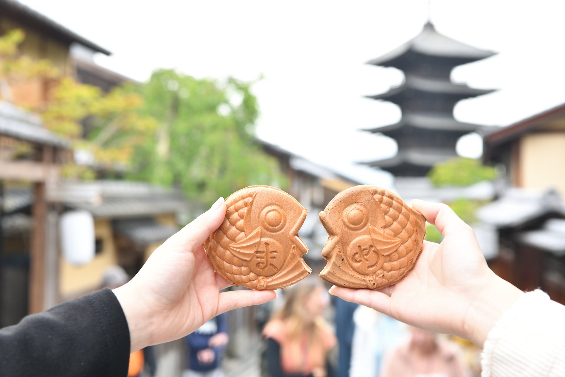 【京都・高台寺店】嵐山で行列の「まめものとたい焼き」が12月17日(火)に移転リニューアルオープン