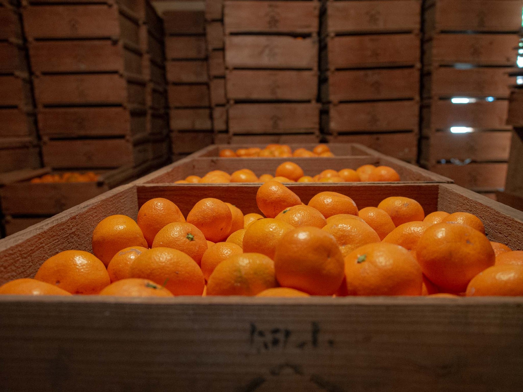 工房Smith（スミス）札幌本店と北海道を代表するショコラ専門店『ショコラティエ マサール』がスペシャルコラボレーション。