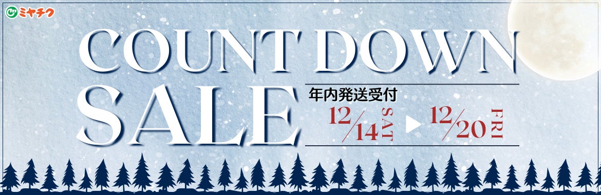 【年内発送ラストチャンス！】今ならまだ間に合う！今年の年末年始は宮崎牛で贅沢なひとときを。味わう幸せ、感じる美味。数量限定で”今だけ”期間限定特価で販売します！