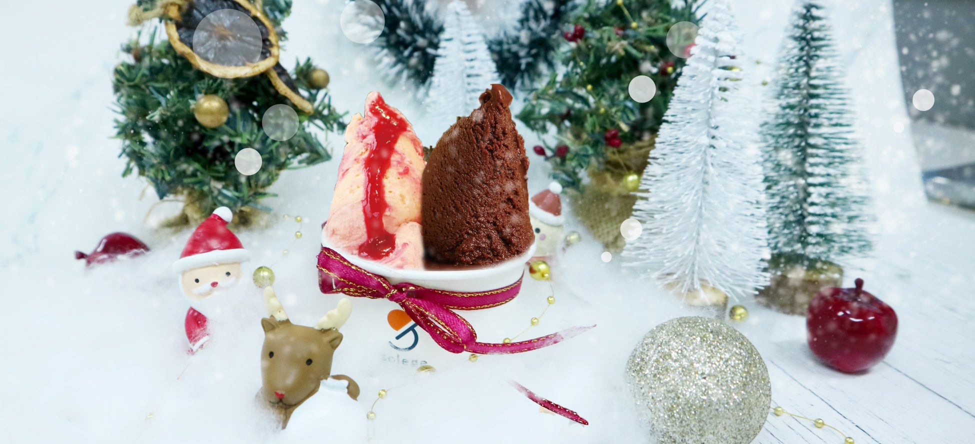 クリスマスを感じる限定フレーバー！ジェラート専門店「GELATERIA solege」にて2024年12月12日(木)から販売開始