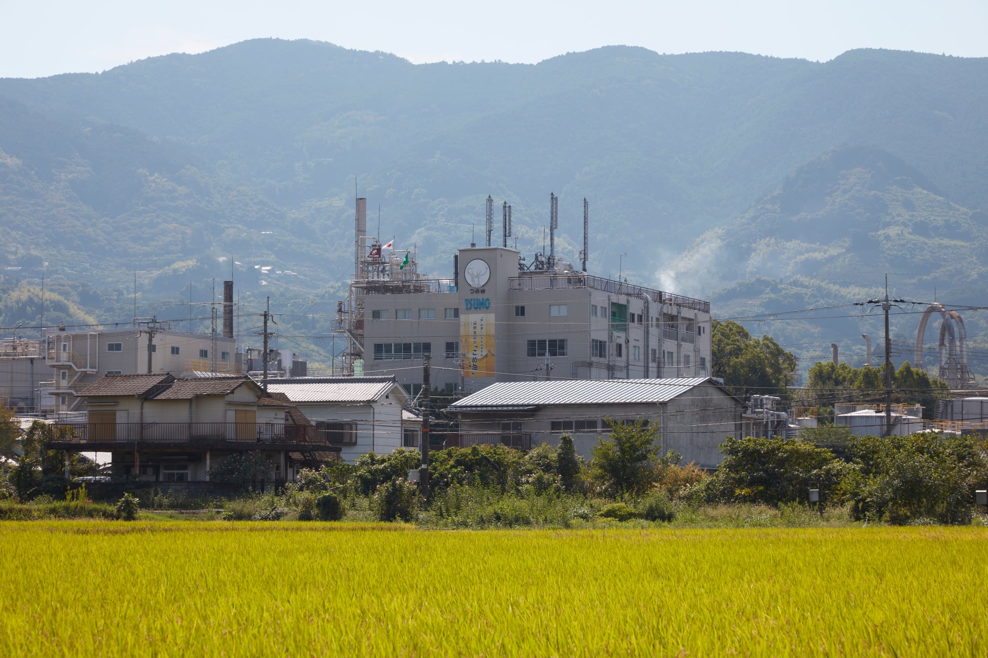 築野食品工業株式会社第12回食品産業もったいない大賞　　　　　　　　　【審査委員長賞】を受賞！