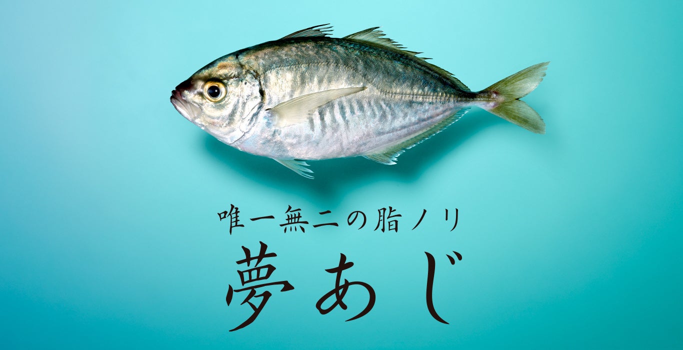 さかなドリーム、世界初の養殖魚「夢あじ」50尾限定の第2回テスト販売を2025年1月7日（火）よりサカナバッカ中目黒で実施