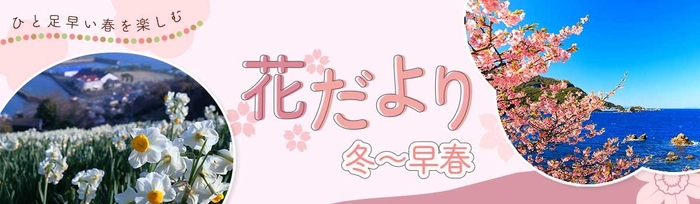 ひと足早い春の訪れを満喫！ 「冬〜早春の花だより」特集ページを公開