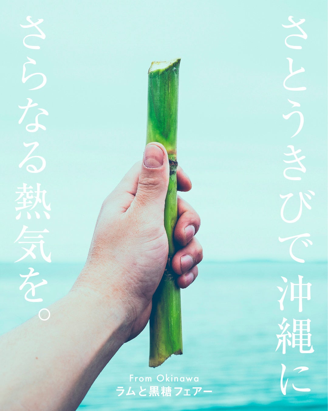 【フォーシーズンズホテル丸の内 東京】2025年2月14日(金)限定「バレンタイン アフタヌーンティー」と「バレンタイン ディナー」のご案内