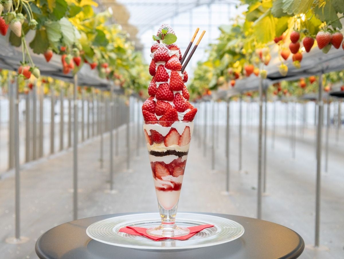 【東京エディション虎ノ門】Gold Bar at EDITIONに2025年1月24日（金）より待望の新メニューがスタート 世界の都市の写真とアートに着想を得た『Graffiti.』