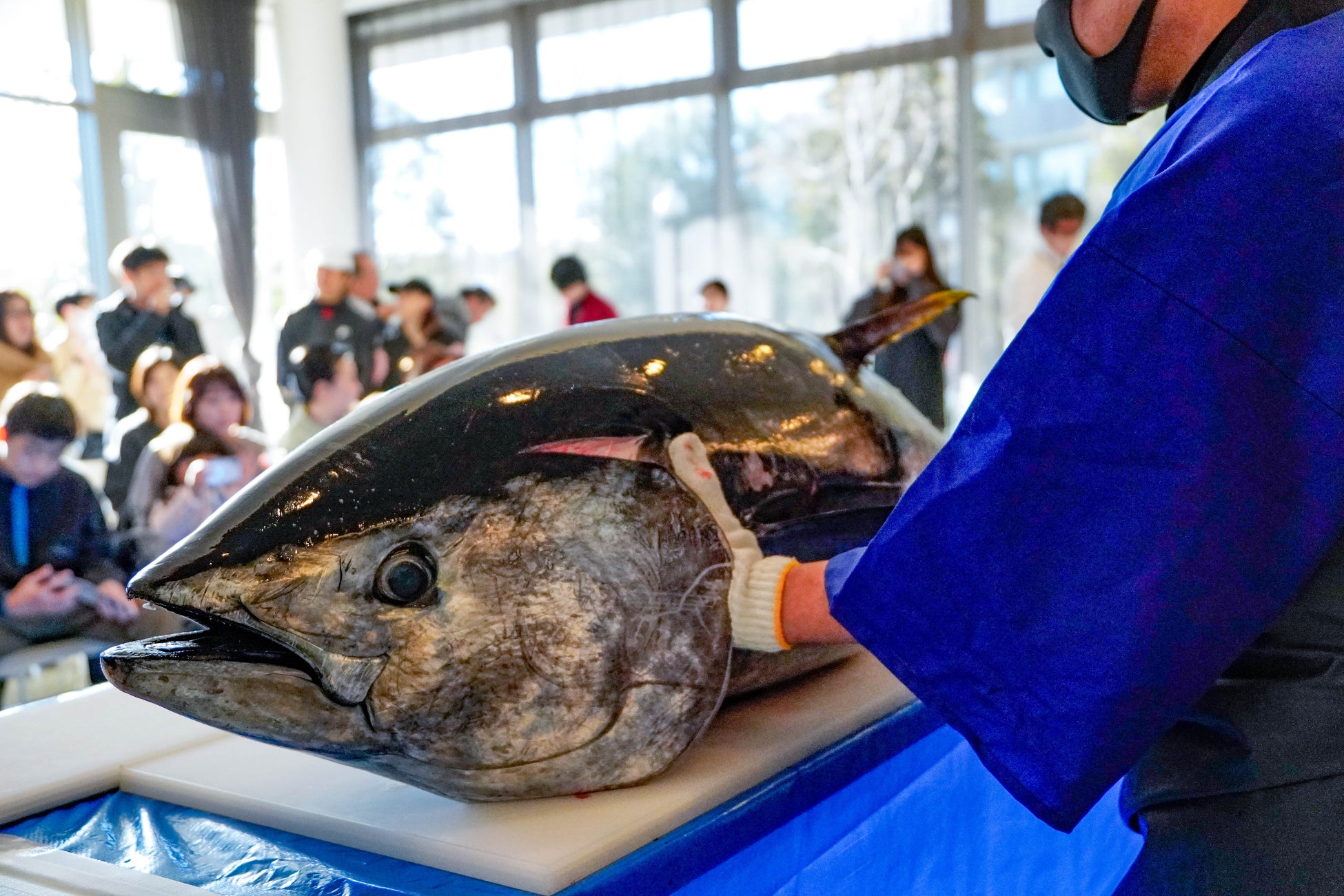 映画『至福のレストラン 三つ星トロワグロ』2025年4月25日(金) Blu-ray&DVD発売決定!