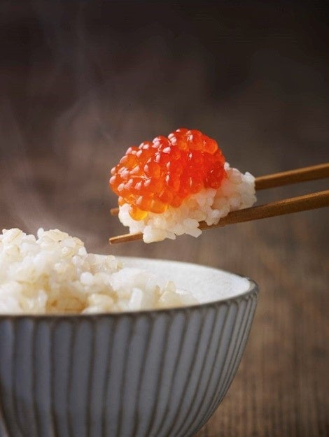 【木村屋總本店】【新商品】2月22日は”猫の日”「黒ねこちゃん」を再販！季節あんぱん「酒種 いちじく」など新商品3種類を直営店にて2月1日発売