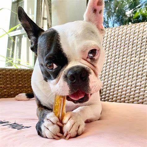 焼きたてリエージュワッフル専門店「BEL BUTTER WAFFLE」から冬に食べたい香り豊かな新作ワッフル“ストロベリー”が新登場！