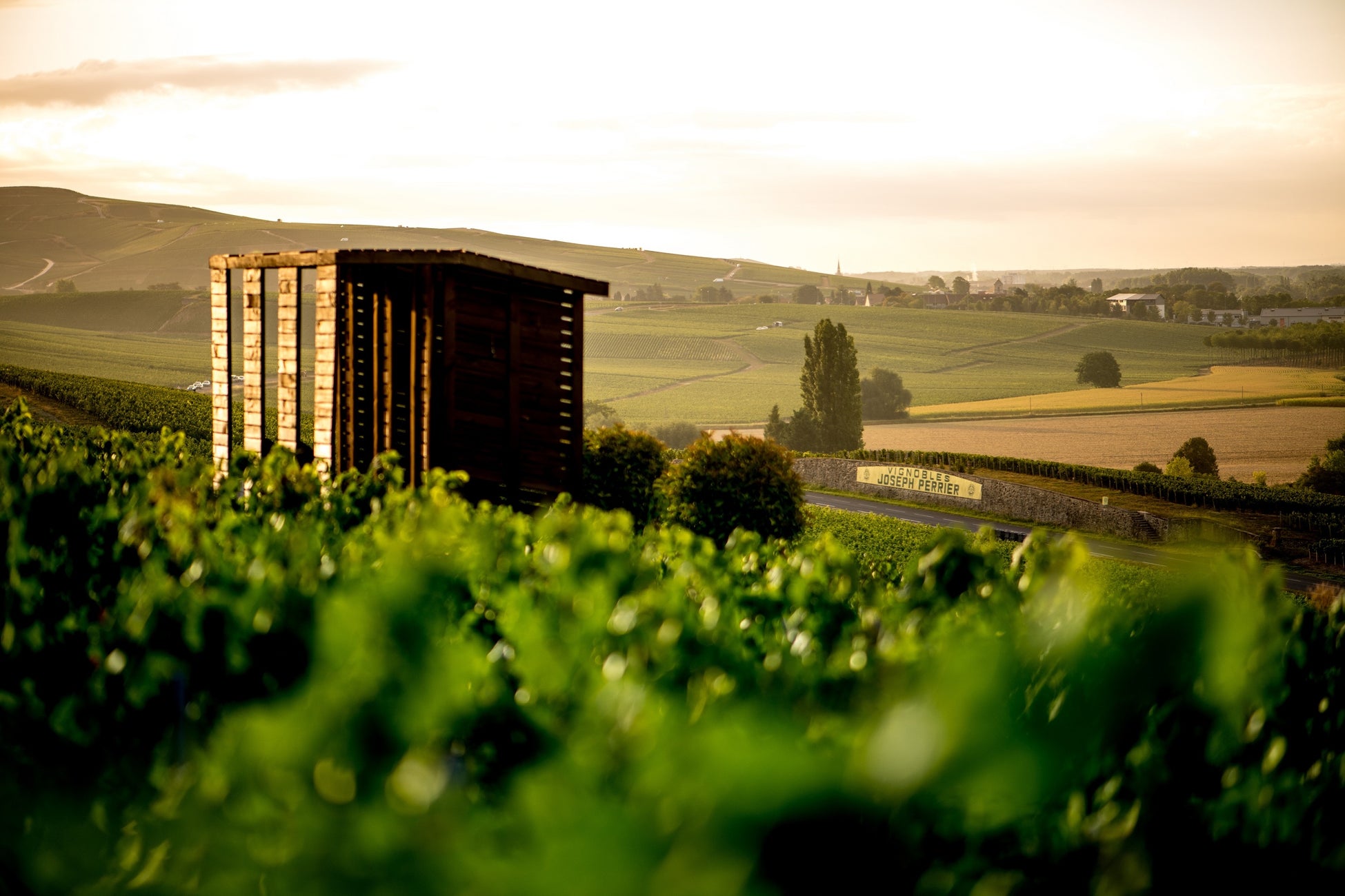 朝日広告社 「第62回 JAA広告賞 消費者が選んだ広告コンクール」においてメダリストを受賞