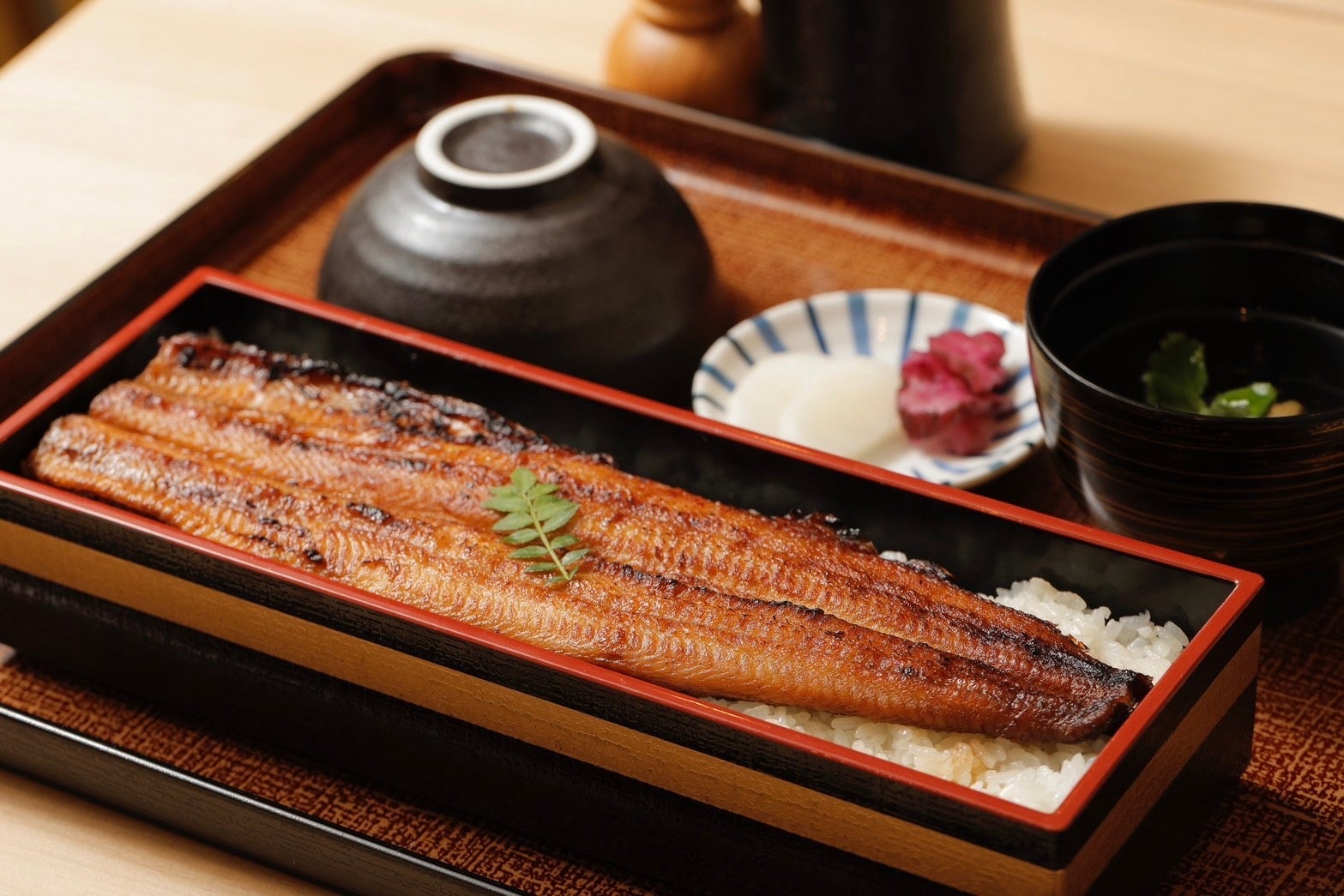 【日本初の新感覚スポット】お湯のない光の温泉!? 鰻とラドン温浴の奇跡のコラボが新所沢にオープン！