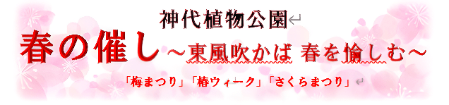 なら近大農法を用いて近大生が育てた「近大ICTイチゴ」を使用　人気洋菓子店とコラボしたオリジナルスイーツ第3弾を期間・数量限定で販売