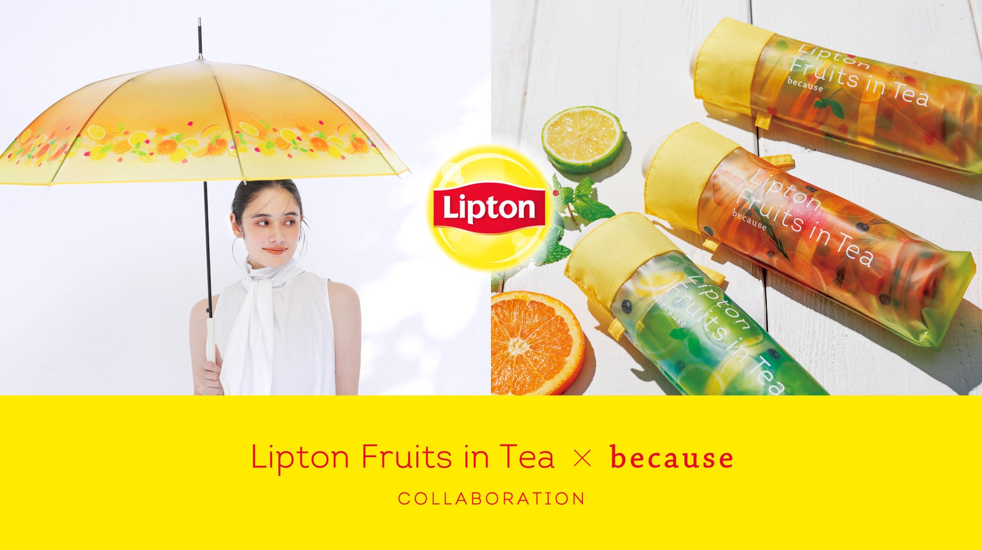 【アンテノール バレンタイン】上質なチョコレートケーキで豊かなひとときを。艶やかな真紅のスペシャリテや濃厚なプレミアムチョコレートケーキなど。