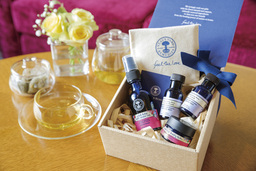 【1万分の1から見つけた奇跡のいちご】M15(Morinoichigo)が登場!