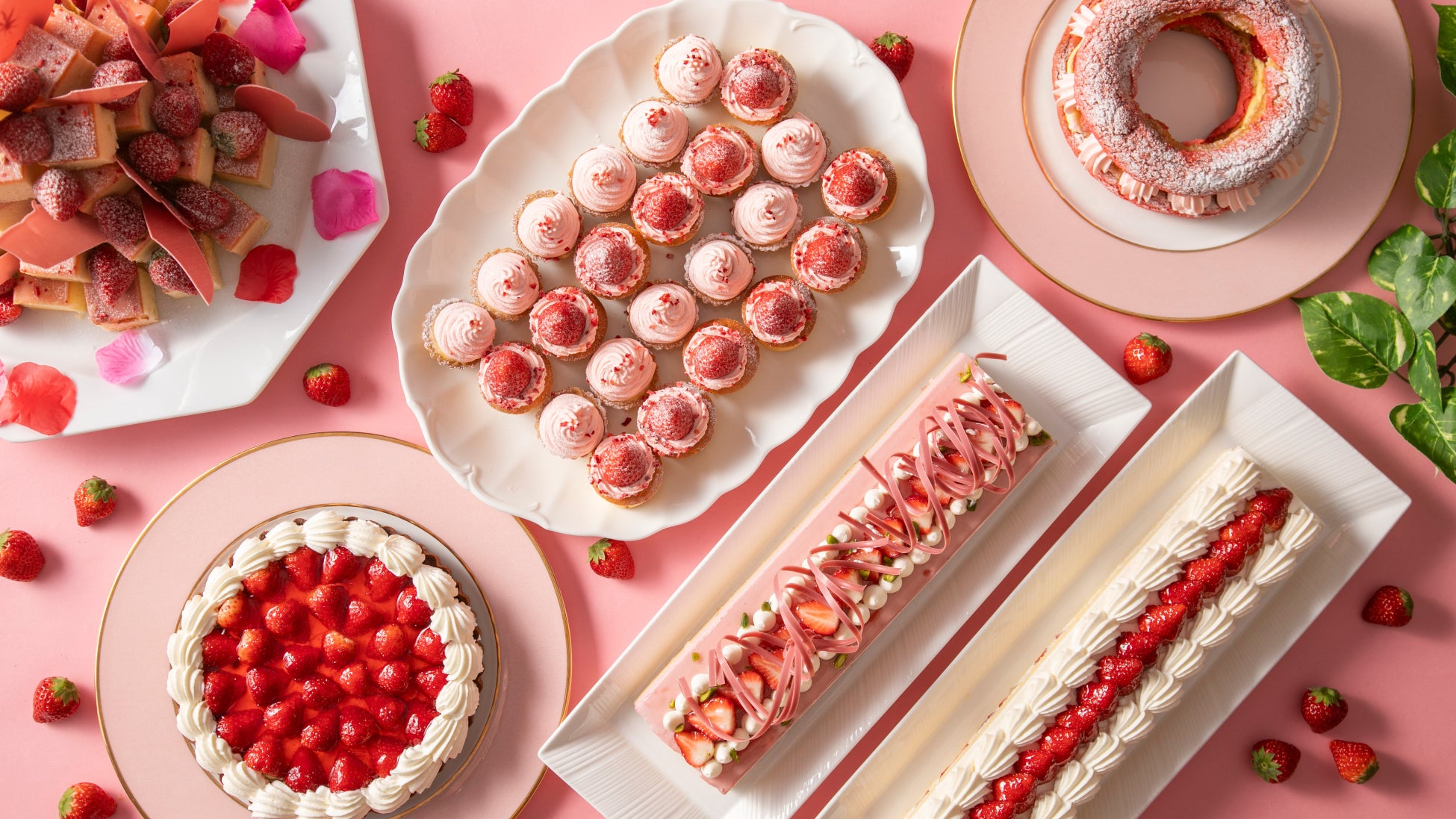 ~「ねこねこ」×「パステル」コラボ!2/22“猫の日”に食べたいスイーツ~「パステル」から2/1(土)より“ぷるぷるっ”と揺れる『ねこねこプリン』をはじめ、“ニャ”めらかなねこスイーツが新発売!