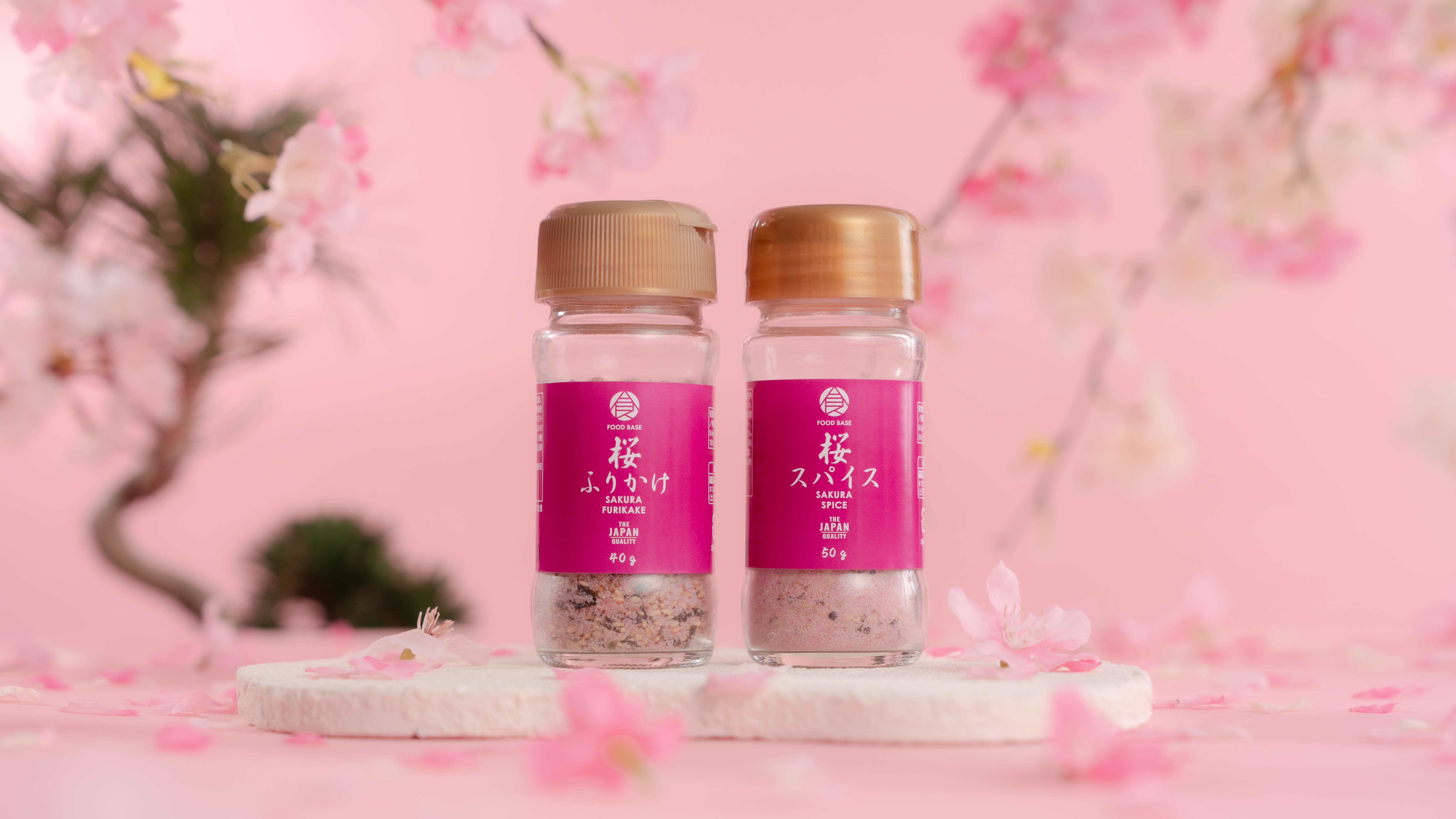 「アトム・ブランド合同キャンペーン 感謝祭　第2弾」
1月24日より開催！