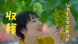 和歌山県初出店！「ラーメン山岡家和歌山紀三井寺店」
1月29日(水)オープン！オープン記念企画も実施