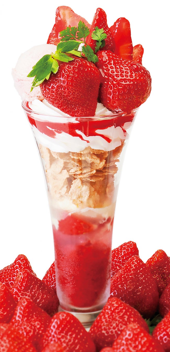 一般公募から選ばれた10匹のネコたちのキャンディやリアルなネコの姿の「にゃブレッツ」など癒しのネコシリーズが登場 PAPABUBBLEの猫シリーズ 1月30日より全国及び公式サイトにて発売