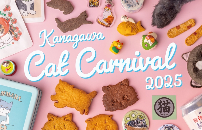 新感覚体験！四万十町で光の温泉イルミネーション開催