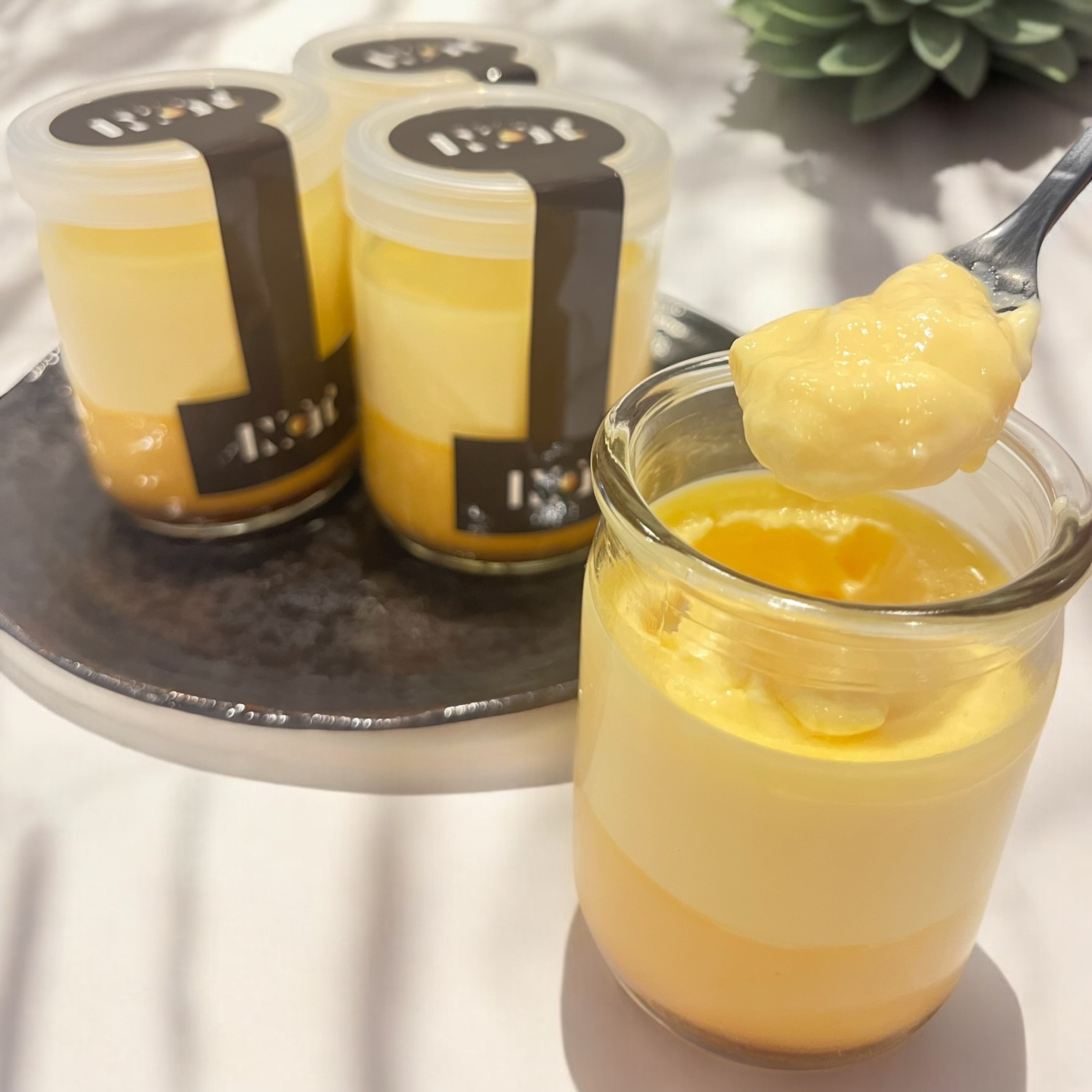 ～世界に誇る「根室の自然・歴史・食」に魅せられる～
「北海道根室まるごとフェア2025」を
新宿駅で2月7日(金)～9日(日)に開催