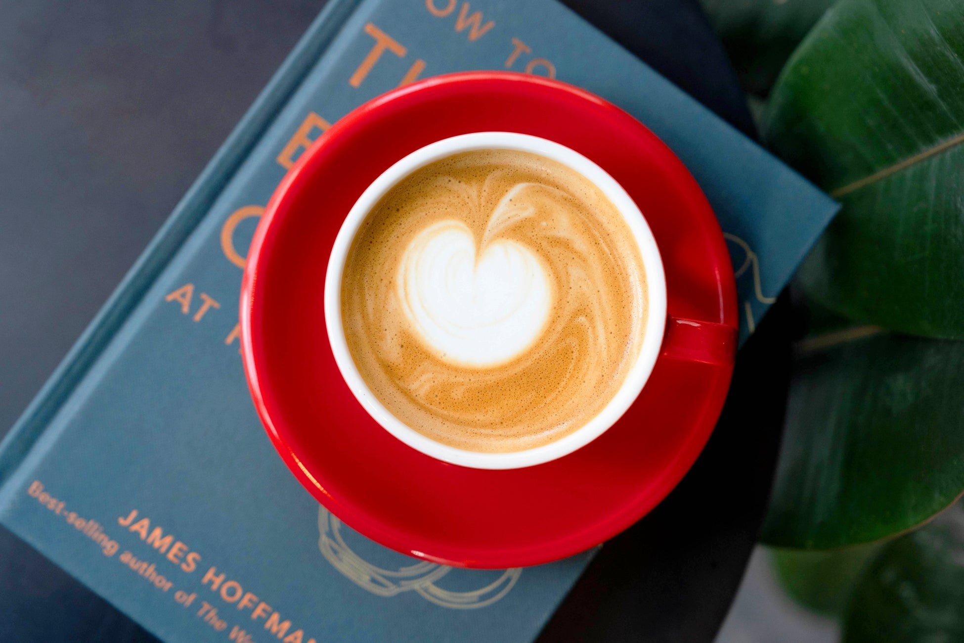 病院の子ども達やご家族が楽しく笑顔で過ごせるように
絵本をプレゼントしたい!
2025年1月18日よりクラウドファンディングを開始