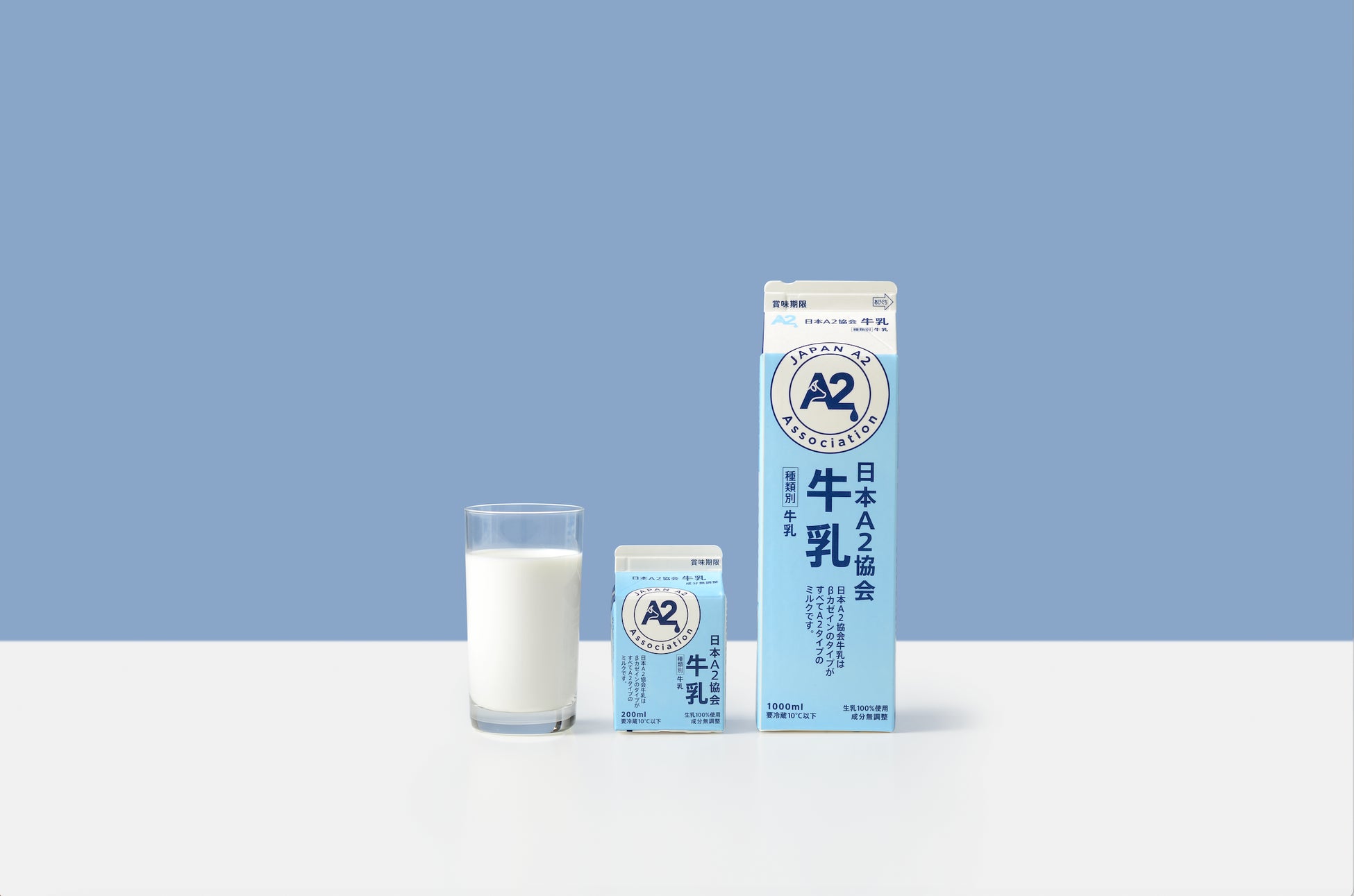 「第11回世界ラーメンサミット」をマニラで開催 世界ラーメン協会(WINA)、2025年2月25、26日