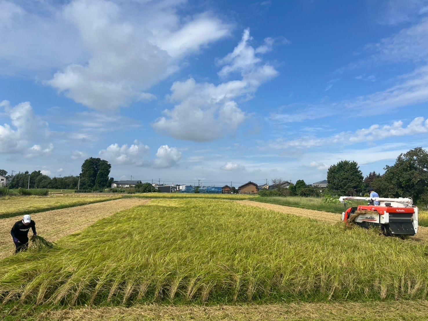 円安と豪州産チーズの輸出価格増によりチーズ価格が高騰！低価格でコレステロール95％オフの「DXヘルシーシュレッド1kg」を2025年2月から全国発売