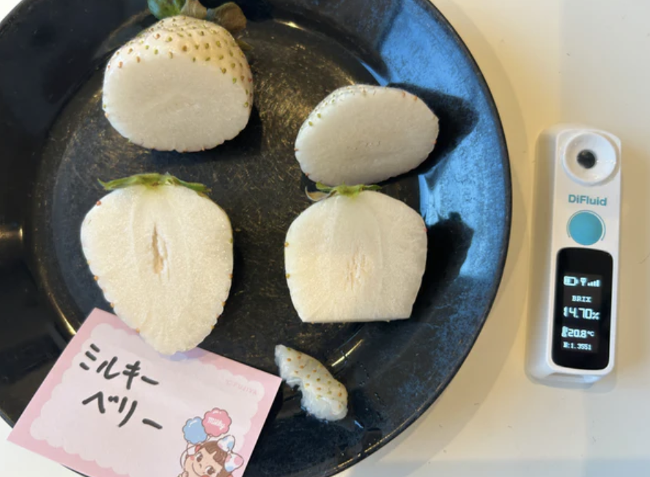 グラングリーン大阪に開業するL’AS新業態レストランMAISON VERTEが予約開始。