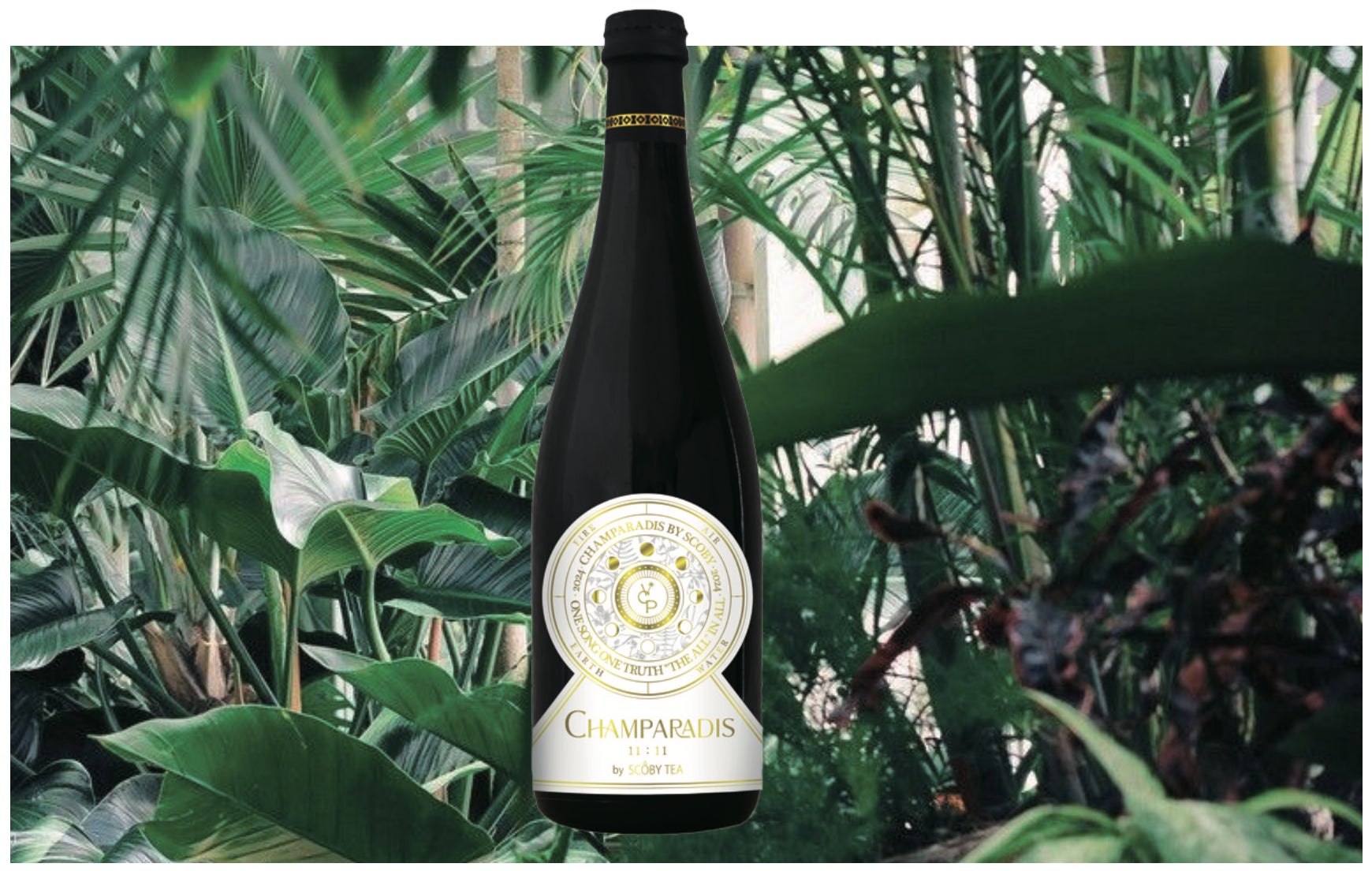 Cowellnex とSioltaが壊死性腸炎の発症抑制を目的とした生菌製剤開発の共同研究契約を締結