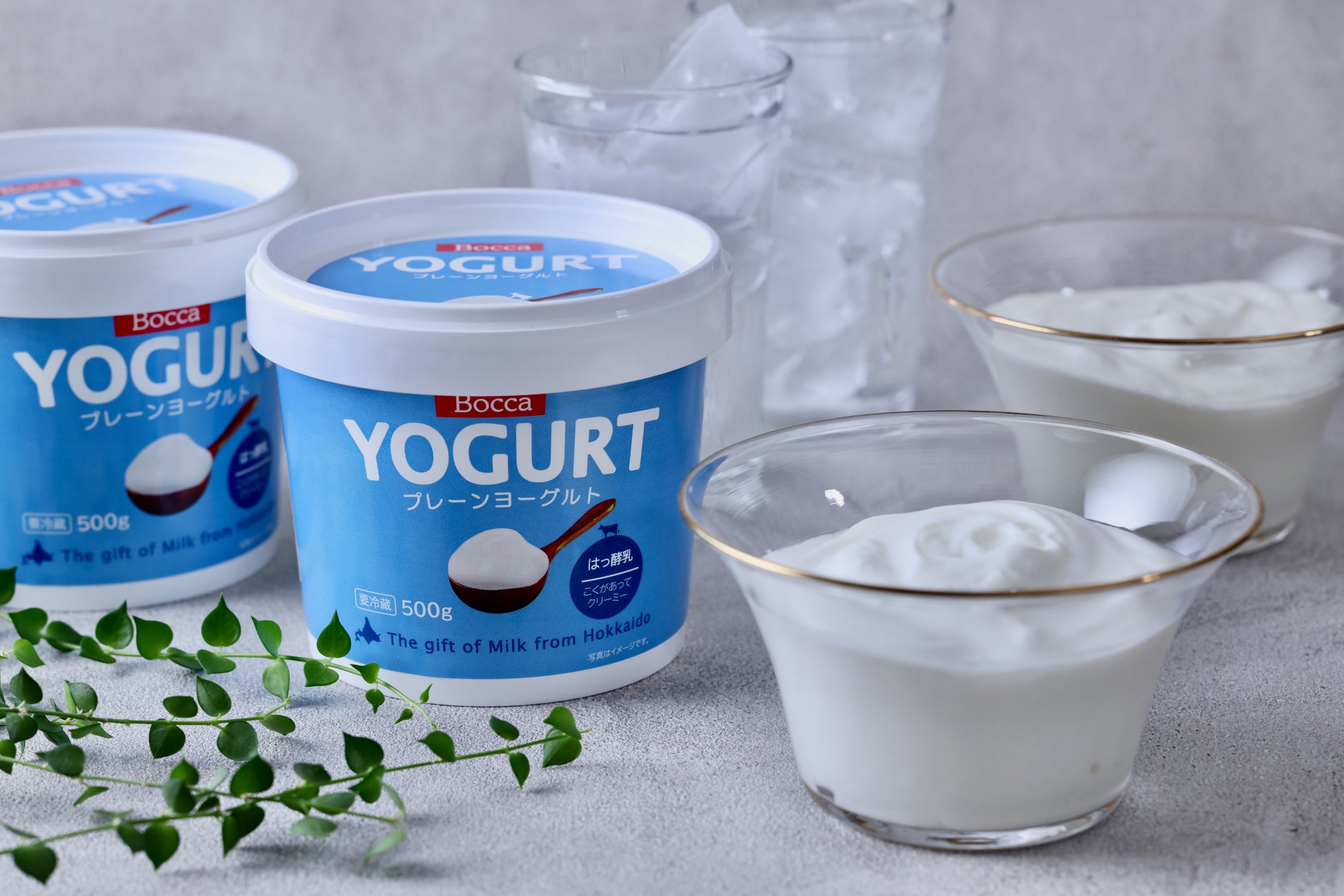 鎌倉レ・ザンジュで人気のクッキー缶　バレンタイン・ホワイトデーバージョン「フール・セック・ショコラ・カレ」