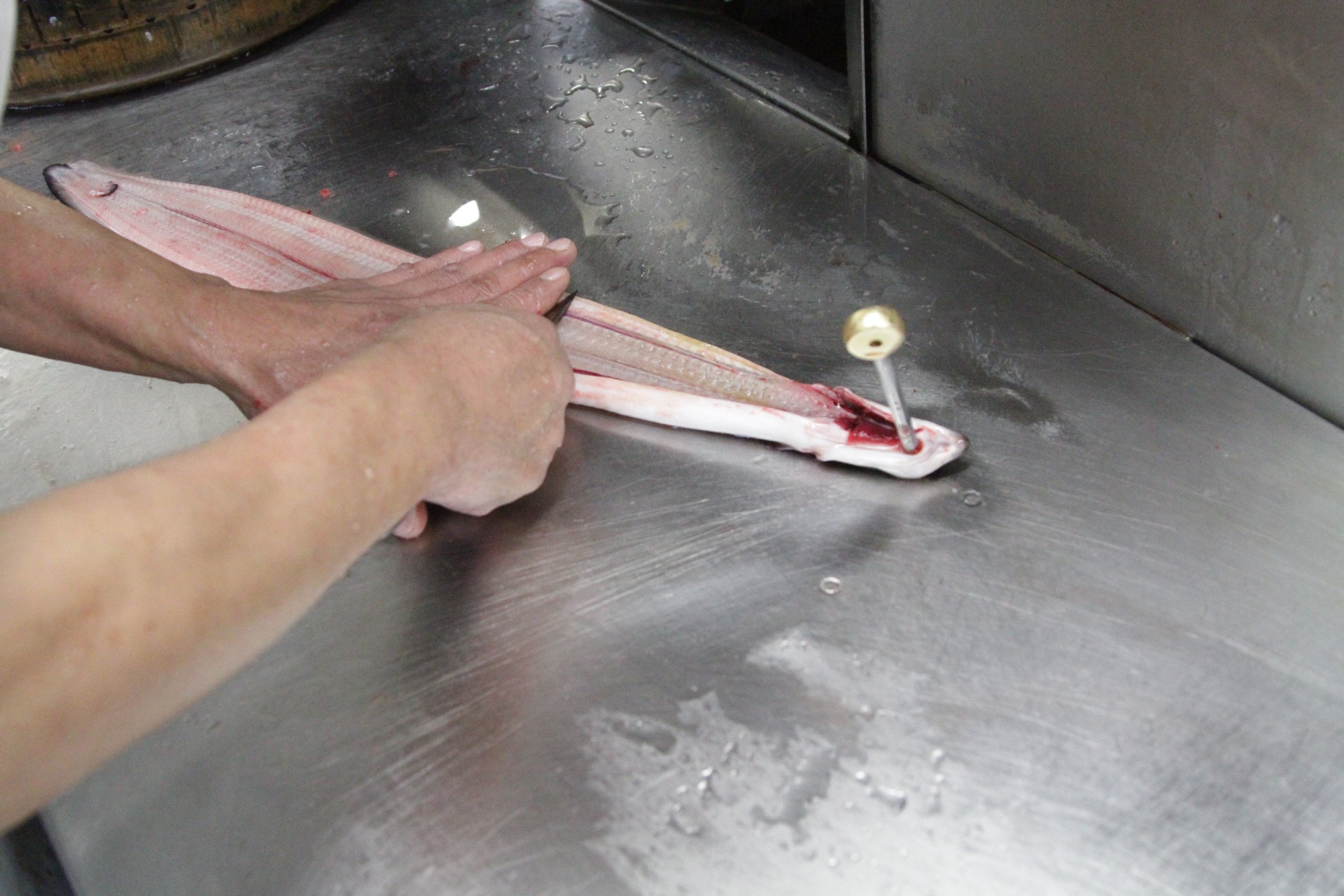 BUFF、京都東山のカフェ「dot.s」にてPOP-UP開催中！