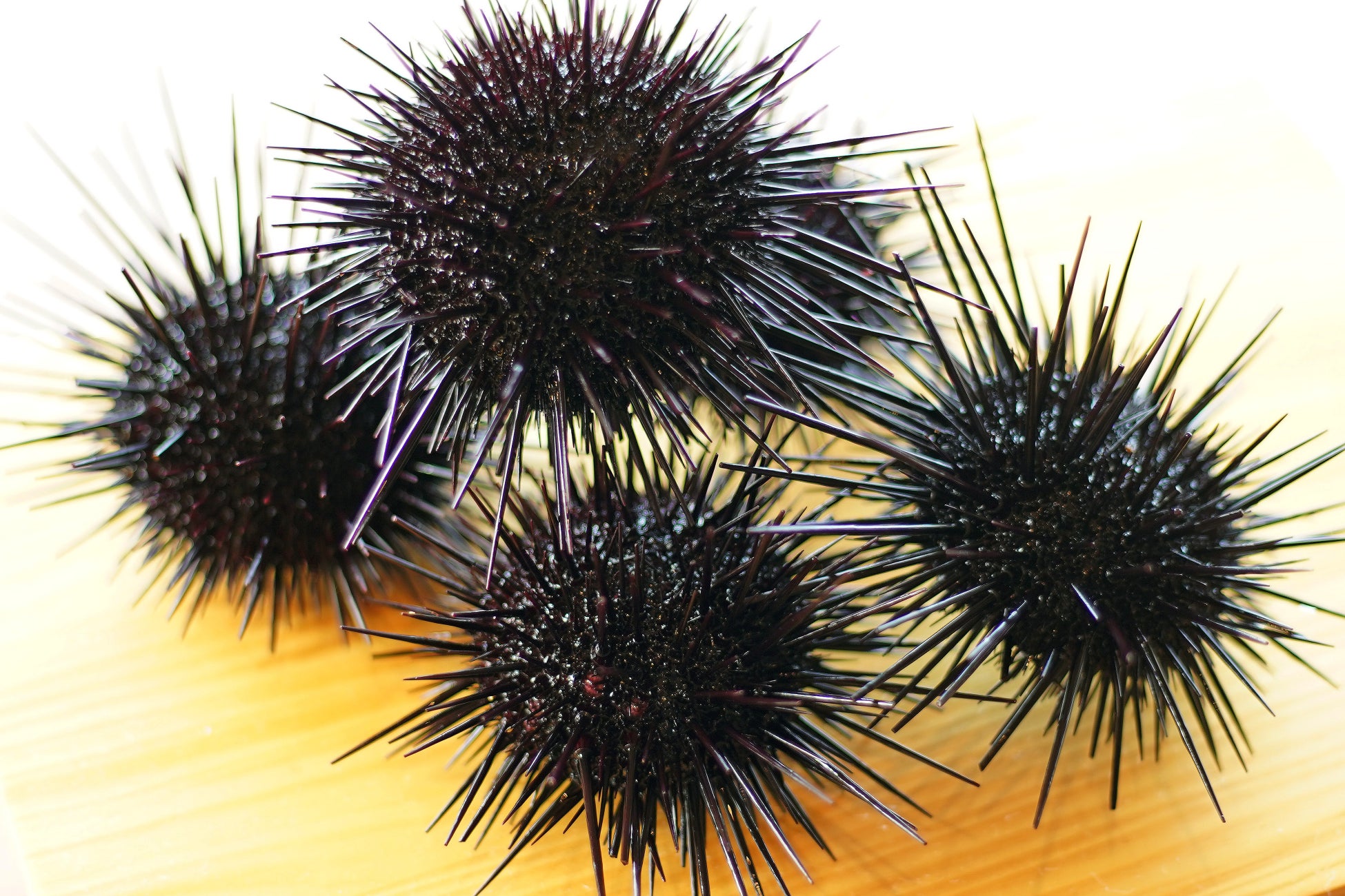 アートギャラリーのようなホテルでお茶会