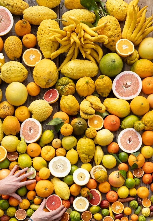 楽天お買い物マラソンで美崎牛ハンバーグがポイント10倍！