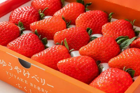 【イベントレポート】本格焼酎・泡盛の多様で豊かな香りに驚き！「SHOCHU AWAMORI KAORI LABO」を原宿の新たな文化の発信拠点「ハラカド」にて開催