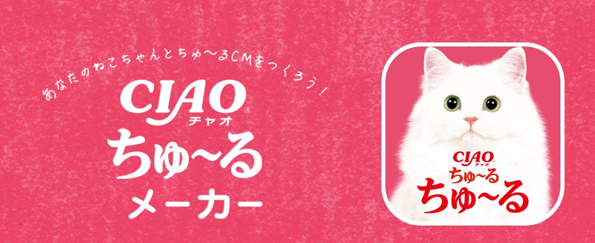 【ワインと楽しむオリジナル「ふきよせ」登場】タルト専門店「AM STRAM GRAM(アム ストラム グラム)」×蔵直®ワイン専門店「ヴィノスやまざき」がコラボ