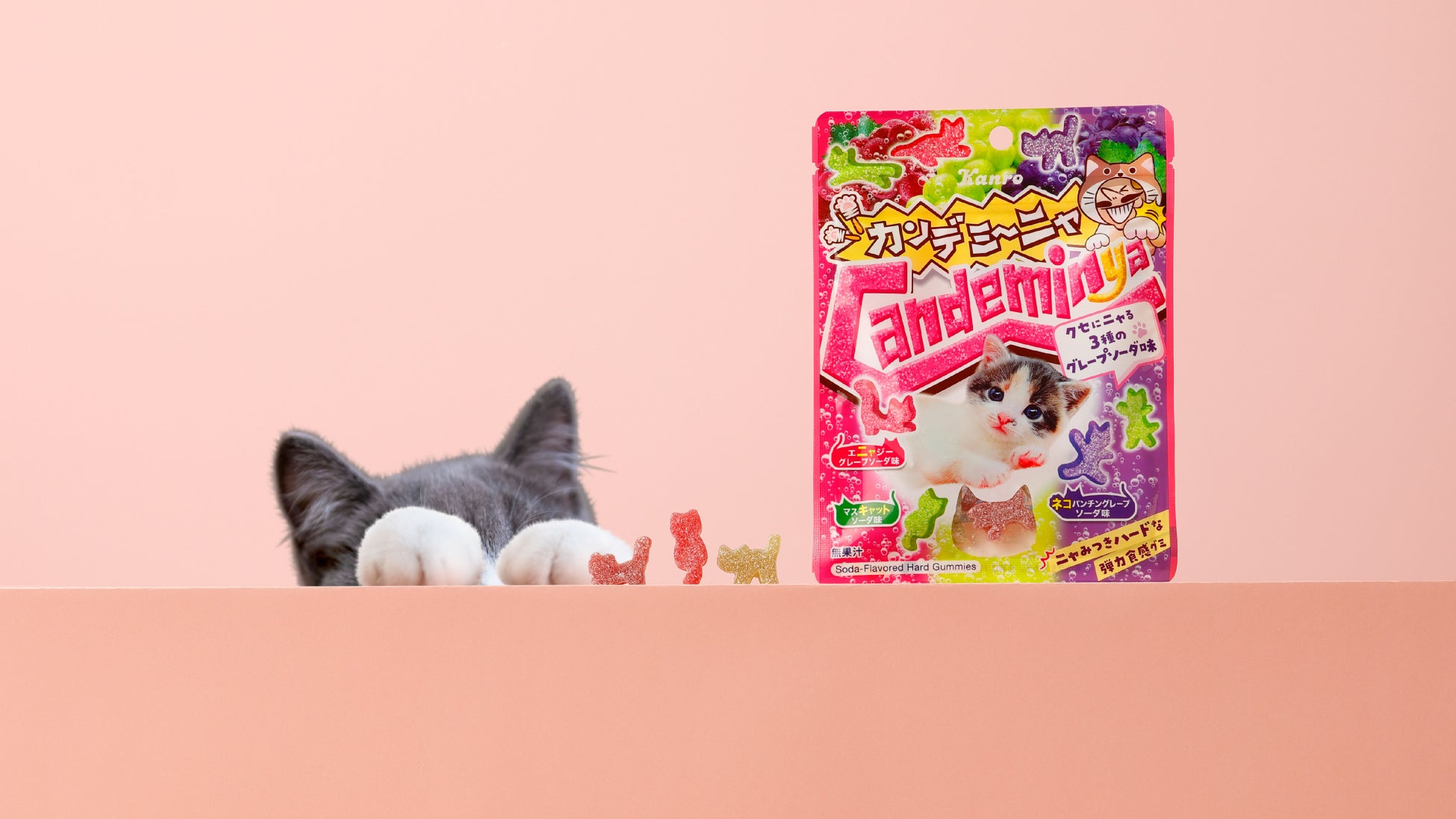 『銀鮭ヤンニョムチーズ漬焼き』、『銀鮭ハニーマスタード漬焼き』２０２５年３月１日（土）2商品同時販売！！