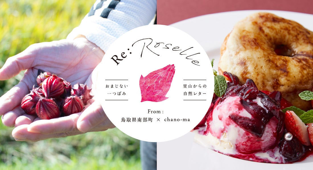 【ザ・キャピトルホテル 東急】桜セレクション 2025　春を彩る華やかなスイーツから花見懐石まで多彩に展開