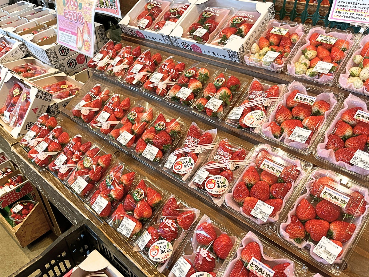 「アヲハタ　５５」シリーズから春夏の季節限定品として「５種のベリー」を新発売