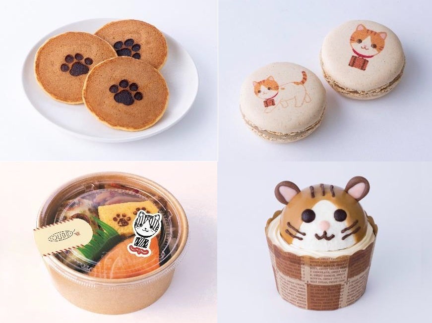 ありがとう「ハイチュウ」50CHEW（周）年『ハイチュウ総選挙50』キャンペーン　2月18日（火）から投票開始　抽選で50名様に非売品の限定フレーバーの「ハイチュウ」をプレゼント