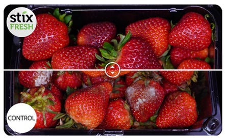 とみ田・けやき監修まぜうどん リニューアルして新発売!