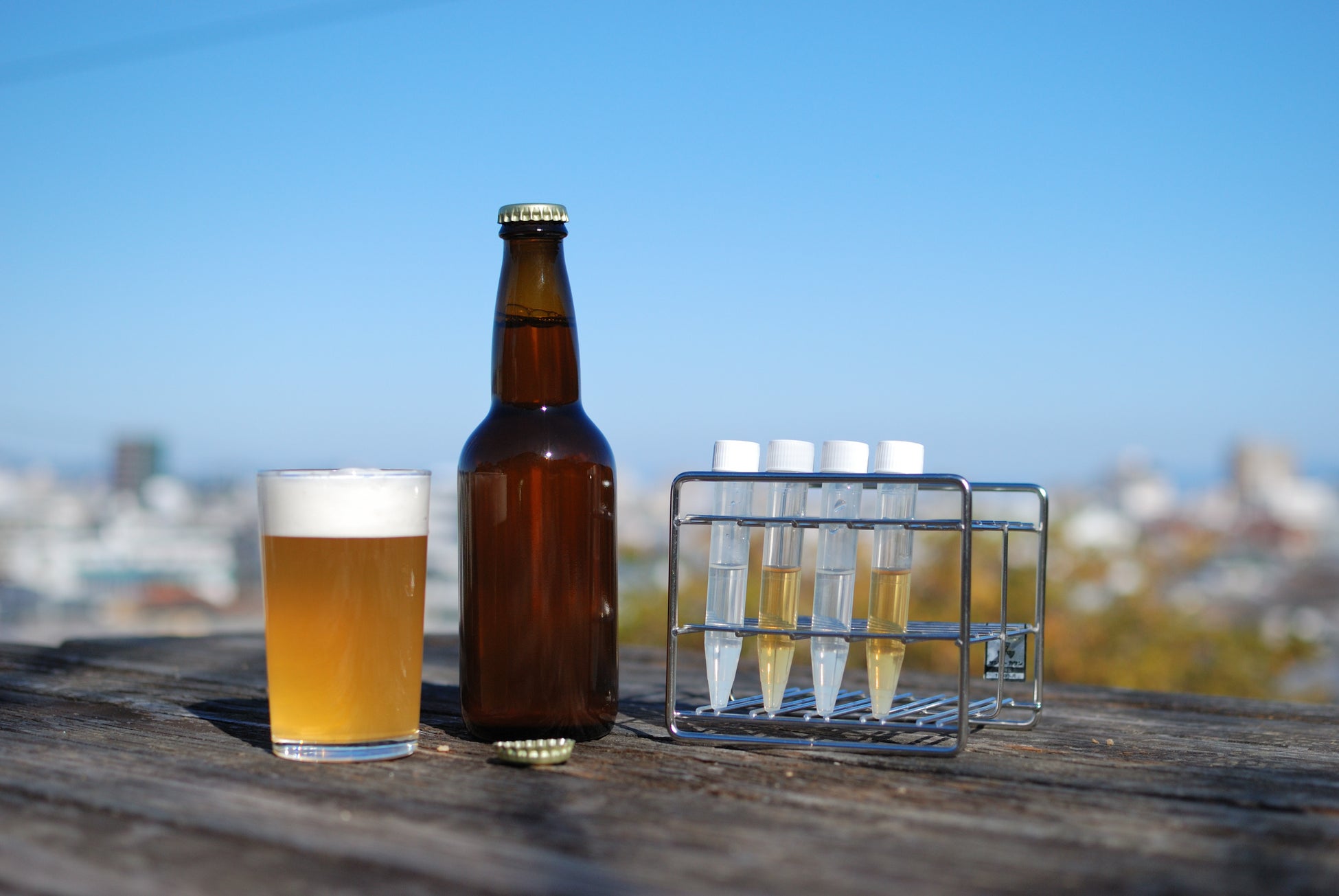 佐賀県×劇場アニメ『ベルサイユのばら』の新プロジェクト「ベルサイユのさがーばらを訪ねて佐賀県へー」第三弾！佐賀のブランドいちご「いちごさん」を使用したべつ「ばら」スイーツを2月11日(火)より順次発売