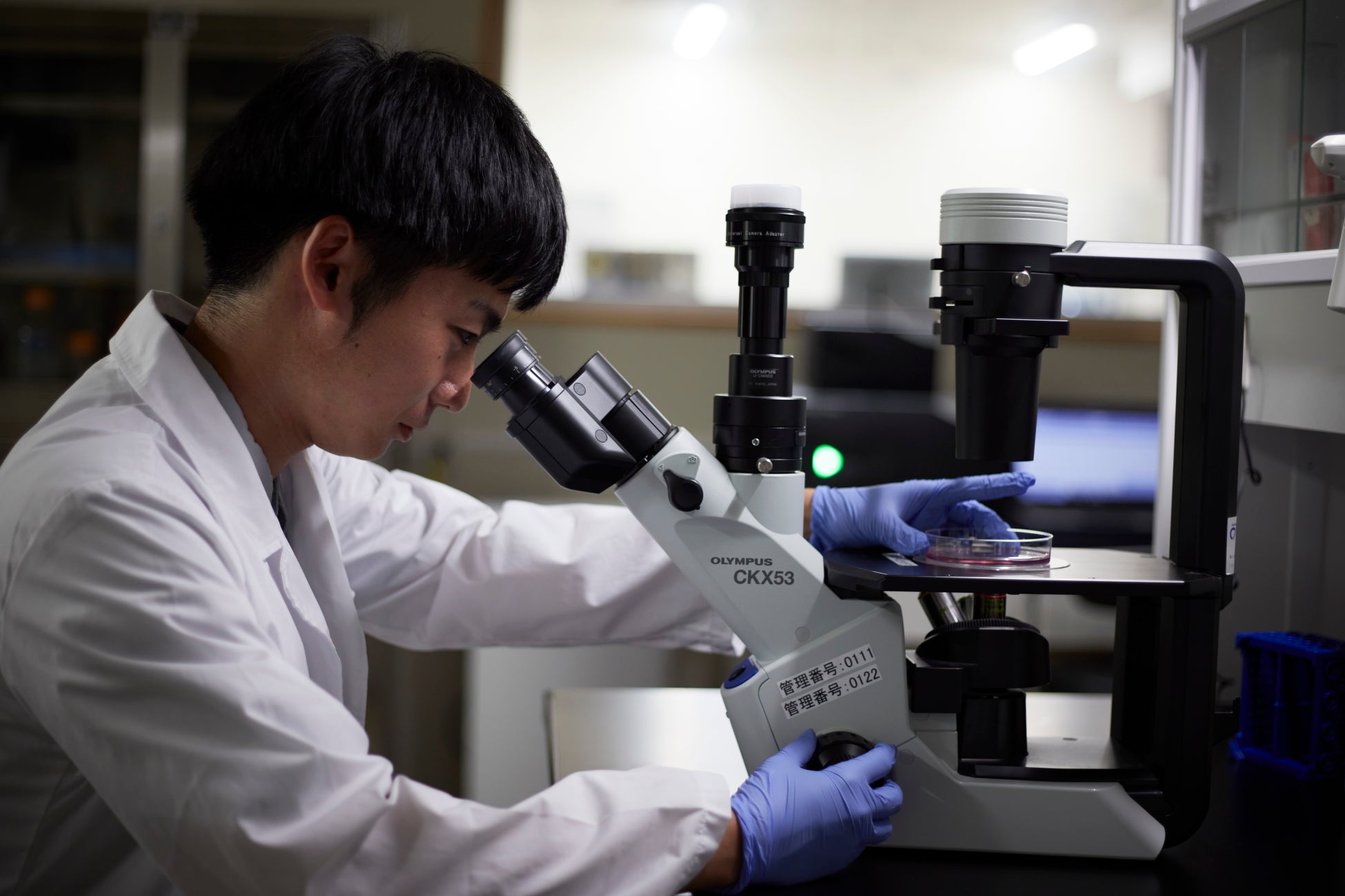 西伊豆のオーベルジュ「LOQUAT西伊豆」、新トップシェフに増井睦が就任。新章がスタートします